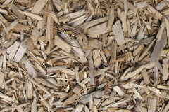 biomass boilers Landican